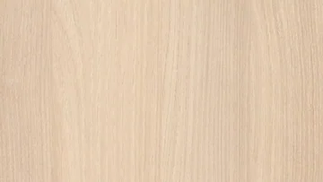 Акация Лэйклэнд светлая