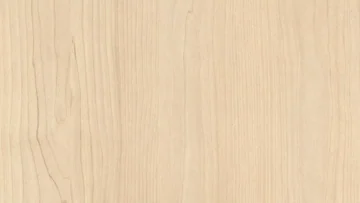 Берёза песочная